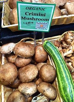 Product - Placerville Natural Food Co-Op in Placerville, CA Health, Diet, Herb & Vitamin Stores