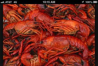 Product - Porter & Luke's in Metairie, LA American Restaurants