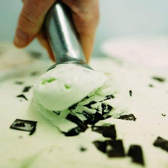 Product - Prince Puckler's Gourmet Ice Cream in Eugene, OR Dessert Restaurants