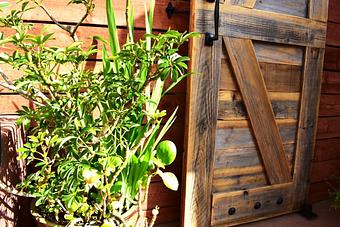 Product - Progressive Grounds in San Francisco, CA Coffee, Espresso & Tea House Restaurants