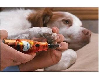 Product - Pup E Tails in Torrance, CA Pet Boarding & Grooming