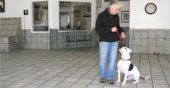 Product - Purr'n Pooch Pet Resorts in Manasquan, NJ Pet Boarding & Grooming