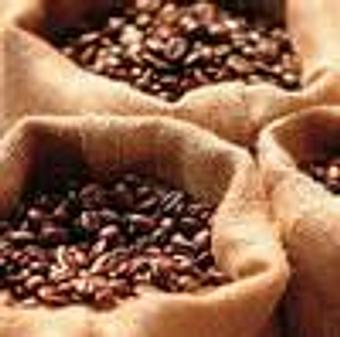 Product - Red Barn Coffee Roasters in Boston, MA Coffee, Espresso & Tea House Restaurants