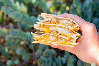 Product: Chicken Quesadilla - Red Mesa Mercado in St. Petersburg, FL Mexican Restaurants