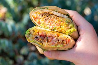 Product: Ground beef, fries, refried beans, cheddar jack cheese, guacamole, crema, pico de gallo. - Red Mesa Mercado in St. Petersburg, FL Mexican Restaurants