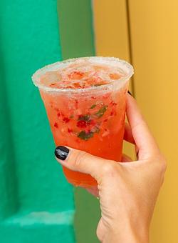 Product - Red Mesa Mercado in St. Petersburg, FL Mexican Restaurants