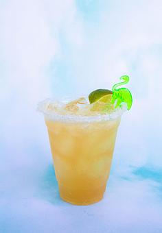 Product - Red Mesa Mercado in St. Petersburg, FL Mexican Restaurants