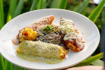 Product: Cheese Enchilada - Salsa Roja Chicken Enchilada - Chile Verde Brisket Enchilada - Chile Guajillo Queso fresco, cilantro-onion, crema, congri. - Red Mesa Restaurant in St Petersburg, FL Mexican Restaurants