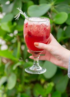 Product - Red Mesa Restaurant in St Petersburg, FL Mexican Restaurants