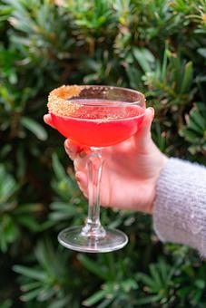 Product - Red Mesa Restaurant in St Petersburg, FL Mexican Restaurants