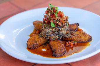 Product - Red Mesa Restaurant in St Petersburg, FL Mexican Restaurants