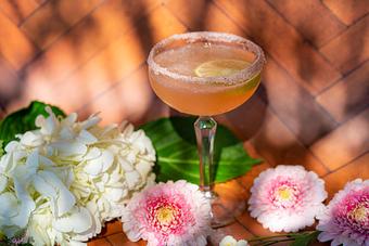 Product - Red Mesa Restaurant in St Petersburg, FL Mexican Restaurants