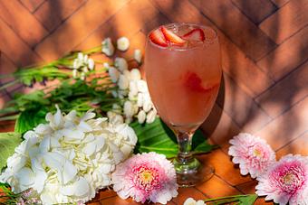 Product - Red Mesa Restaurant in St Petersburg, FL Mexican Restaurants