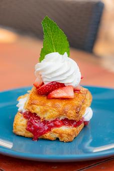 Product - Red Mesa Restaurant in St Petersburg, FL Mexican Restaurants