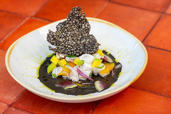 Product - Red Mesa Restaurant in St Petersburg, FL Mexican Restaurants