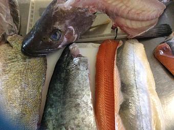 Product: Fresh Fish - Relish in Grinnell, IA American Restaurants