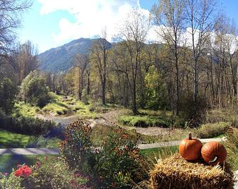 Product: View of the refuge with fall seasonal decorations - Run of the River in Leavenworth, WA Travel & Tourism