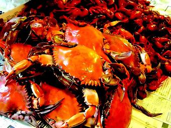 Product - Rustic Inn Crabhouse in Fort Lauderdale, FL Seafood Restaurants