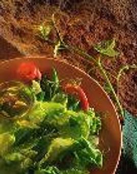 Product - Sandwich Etc in Paris, TX Sandwich Shop Restaurants