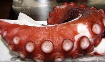 Product - School Restaurant in Chippendale Square - Lexington, KY French Restaurants