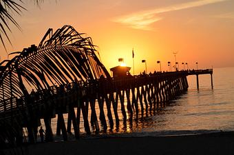 Product - Sharky's On the Pier in Venice, FL Seafood Restaurants