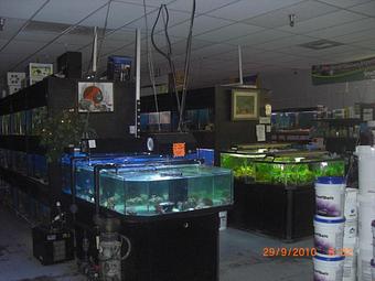 Product - Sierra Fish & Pets in Renton, WA Pet Shop Supplies