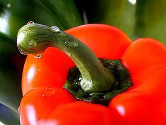 Product - Simply Greens (Create Your Own Salads & Sandwiches) in Chicago, IL Restaurants/Food & Dining