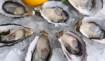 Product - Skool in SOMA/Potrero Hill - San Francisco, CA Seafood Restaurants