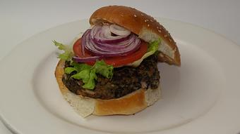 Product - Skylark Diner & Lounge in Edison, NJ American Restaurants