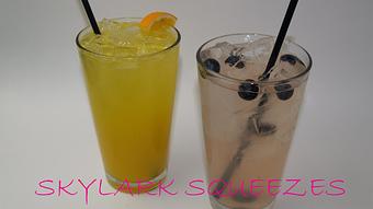 Product - Skylark Diner & Lounge in Edison, NJ American Restaurants