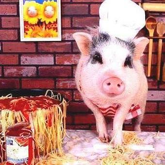 Product - Smokey Joe's BBQ in Lexington, NC Barbecue Restaurants