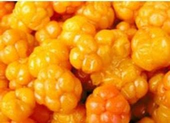 Product - Smorgas Chef in West Village - New York, NY Restaurants/Food & Dining