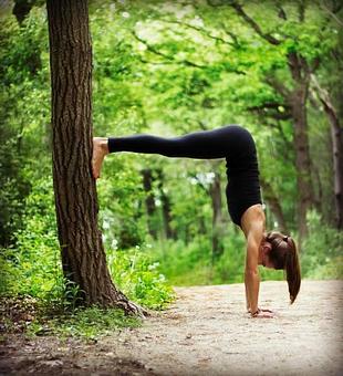 Product - Spark Yoga in Arlington, VA Yoga Instruction