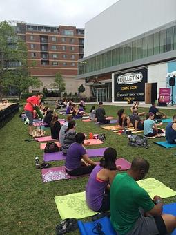 Product - Spark Yoga in Arlington, VA Yoga Instruction