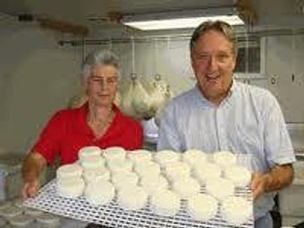 Product: Debbie and Bob Stetson of Westfield Farm in Hubbardston Ma, suppliers of goat cheese to Stellina for over 25 years - Stellina in Watertown, MA Italian Restaurants