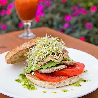 Product - Sun Garden Cafe in Siesta Key Village - Sarasota, FL American Restaurants