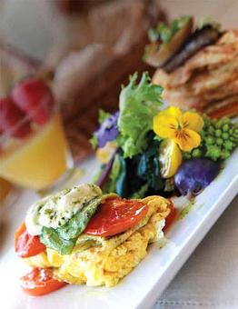 Product - Sun Garden Cafe in Siesta Key Village - Sarasota, FL American Restaurants