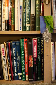 Product: Wellness Library - Suz Pratt The Holistic Stylist in Ferguson Historic Business District ~ Jeske Park - Ferguson, MO Beauty Salons