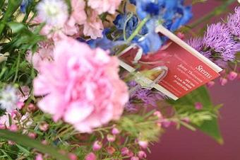 Product - Suz Pratt The Holistic Stylist in Ferguson Historic Business District ~ Jeske Park - Ferguson, MO Beauty Salons