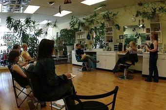 Product: Haircolor/Wellness Seminar - 2004 - Suz Pratt The Holistic Stylist in Ferguson Historic Business District ~ Jeske Park - Ferguson, MO Beauty Salons