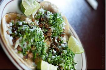 Product - Tapatio's Restaurante Mexicano - Tapatio's #1 in Lakeland, FL Mexican Restaurants