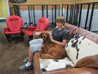 Product - Texas Tails Pet Ranch & Spaw in Cleburne, TX Pet Boarding & Grooming