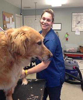Product - The Barking Dog, in Hooksett, NH Pet Boarding & Grooming