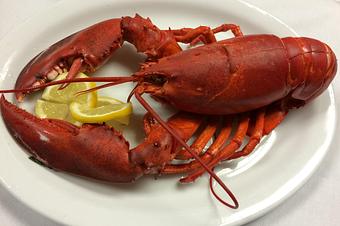 Product: Steamed Maine Lobster Presented with Drawn Butter - The Caboose Restaurant in Located in Beautiful Downtown McComb - McComb, MS Cajun & Creole Restaurant