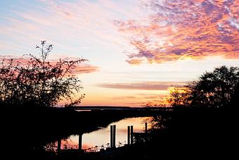 Product - The Crazy Crab - Jarvis Creek in North end of Hilton Head Island - Hilton Head Island, SC Seafood Restaurants