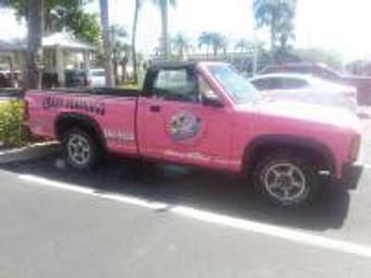Product - The Crazy Flamingo in Marco Island, FL American Restaurants