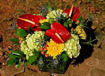 Product - The Flower Shop in Charlottesville, VA Florists