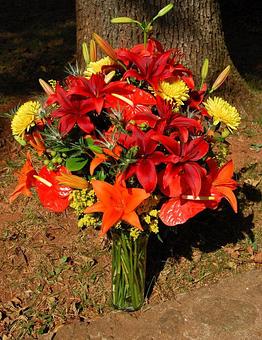 Product - The Flower Shop in Charlottesville, VA Florists