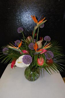 Product - The Flower Shop in Charlottesville, VA Florists