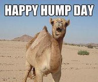 Product - The Loophole Funky Fresh Food & Booze in Historic Downtown Square - Denton, TX American Restaurants